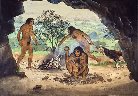 Homo erectus, our ancient ancestor | Natural History Museum