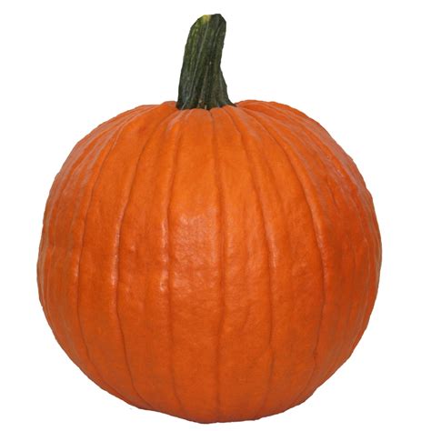 Orange Small Carving Pumpkin at Lowes.com