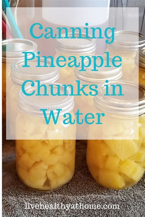 Canning Pineapple Chunks in Water - Healthy at Home | Canning pineapple ...