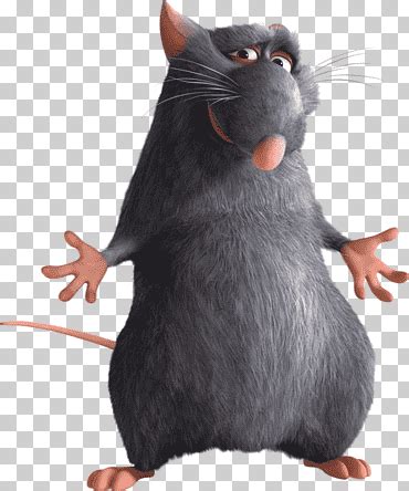 Django Ratatouille Anton Ego Animation, RATATUILLE, mammal, mouse, film Still png | Ratatouille ...