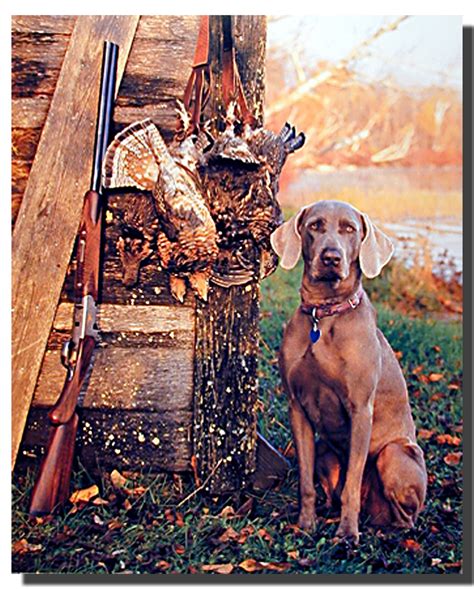 Weimaraner Hunting Poster | Animal Posters