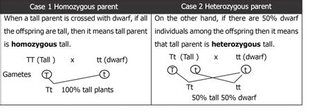 Testcross - Study Solutions