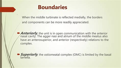 Surgical anatomy of osteomeatal complex | PPT