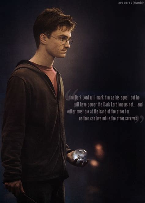 The Prophecy - Harry Potter Photo (27865521) - Fanpop