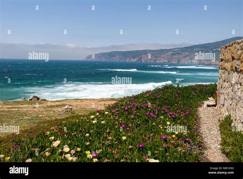 Portugal,Praia do Guincho is a popular Atlantic beach, has preferred ...