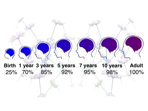 Brain Growth in the First Five Years of Life | Institute for Learning and Brain Sciences (I-LABS)