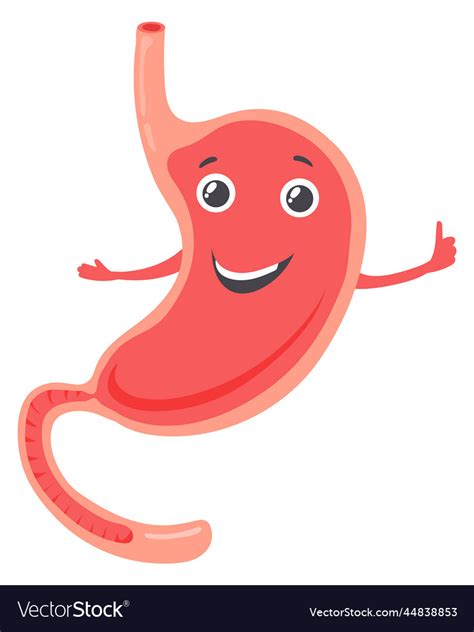 Healthy stomach mascot happy cartoon human organ Vector Image