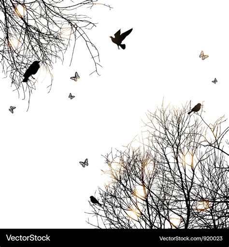 Trees and birds Royalty Free Vector Image - VectorStock