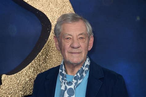 Why Did Sir Ian McKellen Turn Down Playing Dumbledore In 'Harry Potter'?