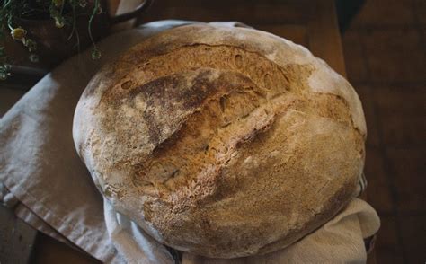 The Best Sourdough Bread Machine Recipe