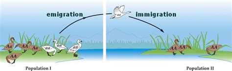 Emigration-immigration.jpg