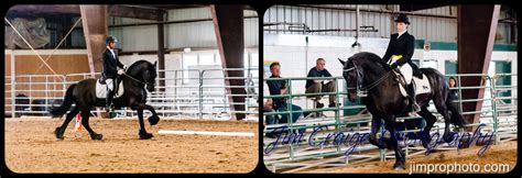 Jim Craige Photography | 2013 Friesian Classic Horse Show