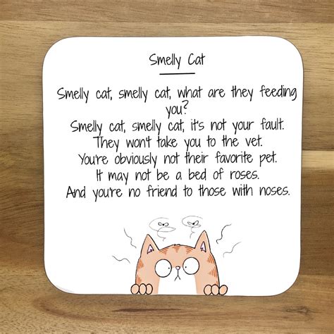 Phoebe Buffay Smelly Cat