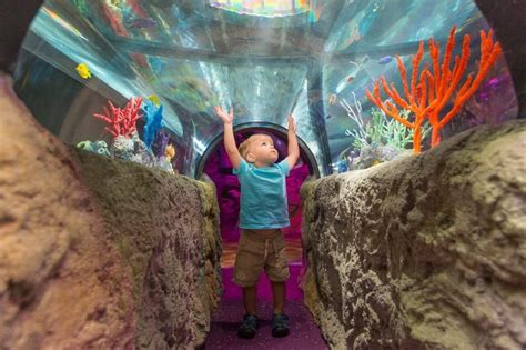 SEA LIFE + LEGOLAND Create an Indoor Play Escape at Great Lakes ...