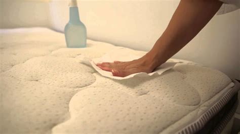 How To Clean Mattress Stains With Baking Soda? 6 Best Recipes | Daily ...