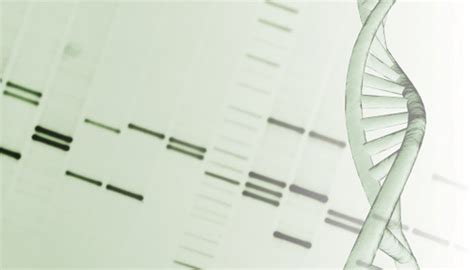 Animals That Share Human DNA Sequences | Sciencing