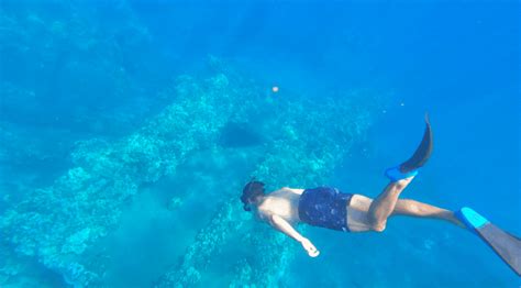 The 9 Best Snorkeling Spots in Lahaina and West Maui - The Hawaii Vacation Guide