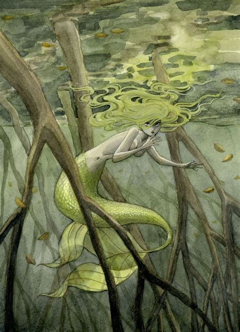 Mangrove Swamp Mermaid | Arte de sirenas, Ilustración de sirena, Sirenas de fantasía