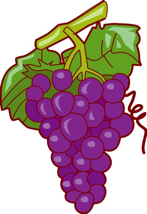 Free Purple Grapes Cliparts, Download Free Purple Grapes Cliparts png ...