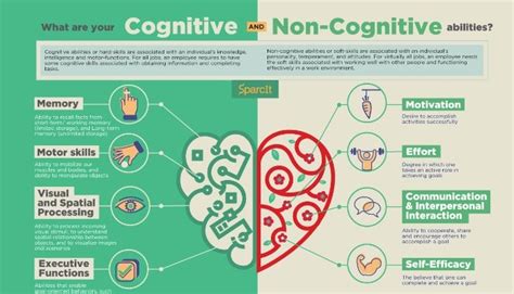 Non-cognitive - Practical Improvement for Schools