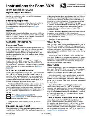 2023 Form IRS 8379 Instructions Fill Online, Printable, Fillable, Blank - pdfFiller