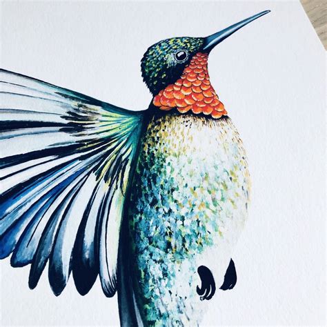 Ruby Throated Hummingbird Print By Charlotte Jones Design