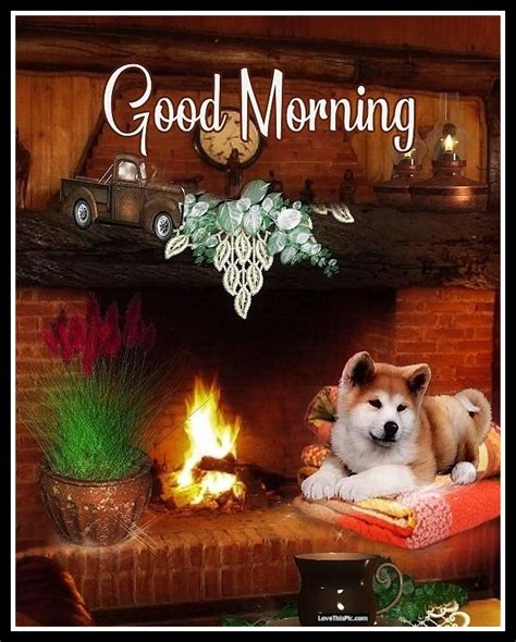 Dog By The Fireplace Pictures, Photos, and Images for Facebook, Tumblr ...