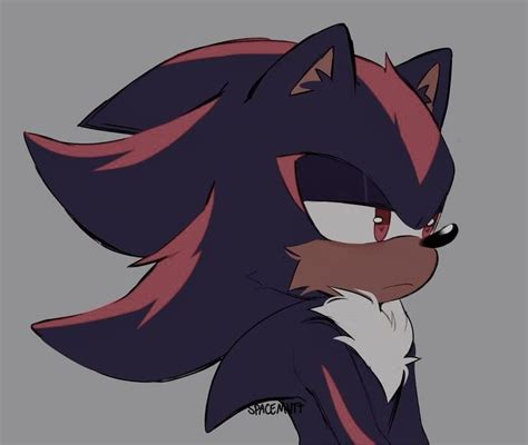 Shadow and maria story.. | Sonic the Hedgehog! Amino