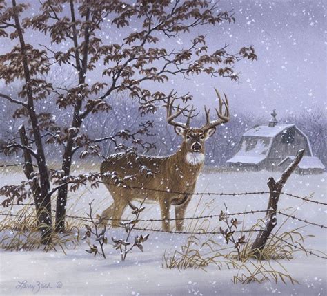 Evening Snowfall - Whitetail | Wildlife, Wildlife art and Paintings