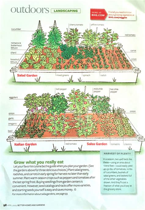 Pin by Jennifer C. on Backyard Farming | Small garden layout, Vegetable garden planner ...