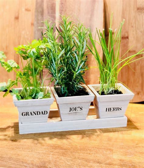 Personalised 'Herbs' Trio of Herb Pots & Tray | Etsy