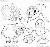 clip Art Free Images For coloring Frog Clipart Outline  sketch template