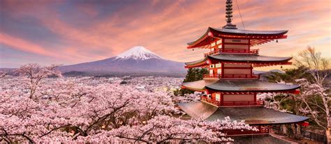 Japan - Tokyo Travel - Where to Eat in Tokyo, Where to Stay in Tokyo, Things to Do | Vogue India ...