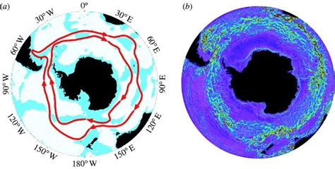 Antarctic Circumpolar Current - Alchetron, the free social encyclopedia