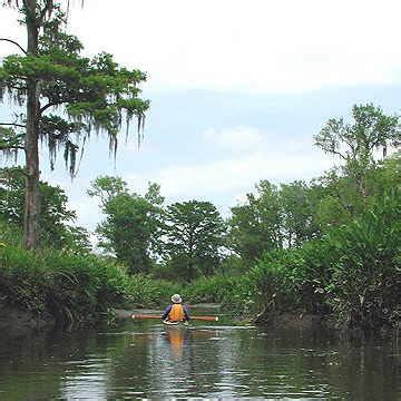 Kayaking the Edisto River in South Carolina – Great Lakes Sea Kayaking Association