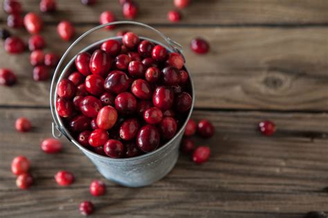 Proanthocyanidins: The Cranberry's Secret Weapon - Health Journal