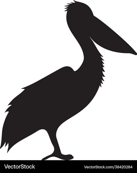 Pelican silhouette Royalty Free Vector Image - VectorStock