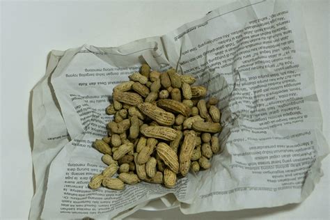 Kacang Tanah Rebus or boiled peanuts. Cemilan Indonesia or indonesian snacks on news paper with ...