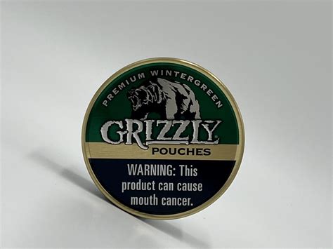 Buy Grizzly Wintergreen Pouches - Native Smokes 4 Less