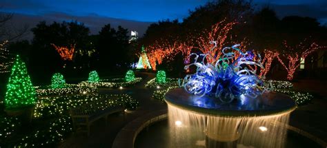 Callaway Gardens Georgia Christmas Lights - Beautiful Insanity