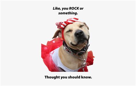 You-rock - You Rock Dog - Free Transparent PNG Download - PNGkey