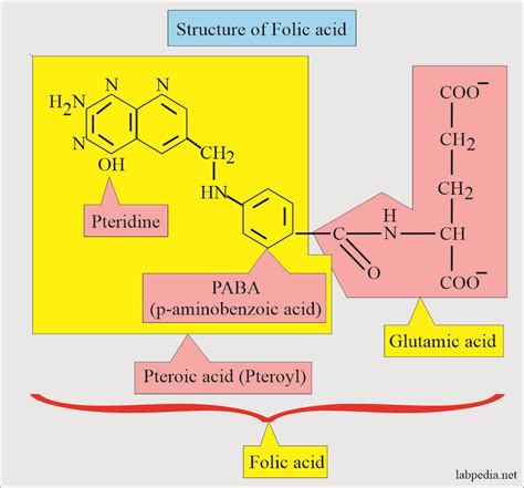 Folic Acid and Folate - Labpedia.net