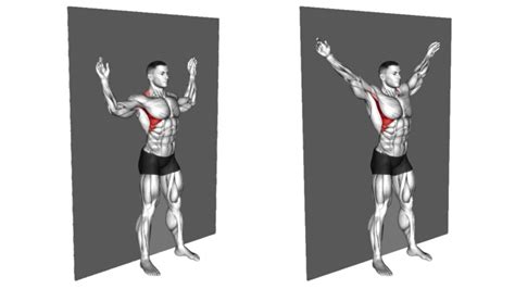 Scapular Wall Slides: Improve Shoulder and Back Mobility