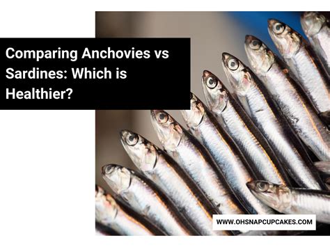 Comparing Anchovies vs Sardines: Which is Healthier? - Oh Snap! Cupcakes