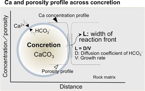 Generalized conditions of spherical carbonate concretion formation around decaying organic ...