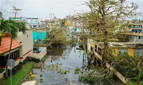 An activist speaks out on behalf of nature after Hurricane Maria ...