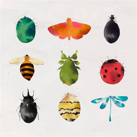 Beautiful Watercolor Collection of Insects