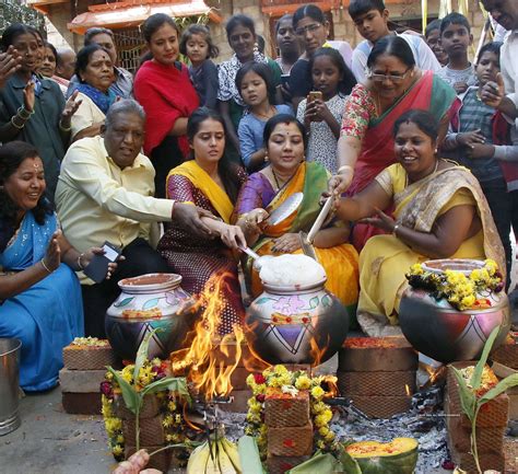 Pongal celebrations begin with fervour Photogallery - Times of India