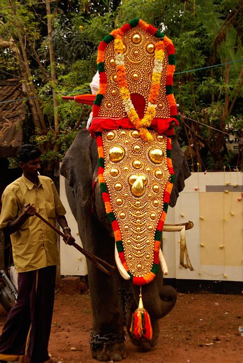 Kerala Elephant Festival Digital Art by Carol Ailles