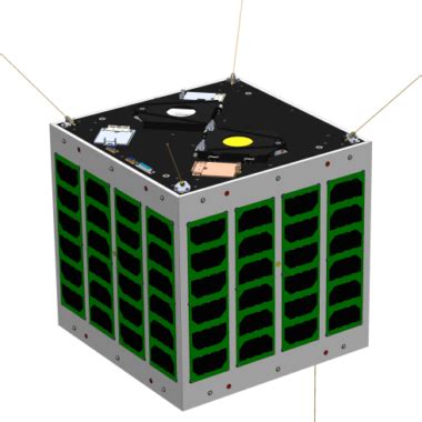 Microsatellites